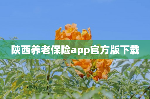 陕西养老保险app官方版下载