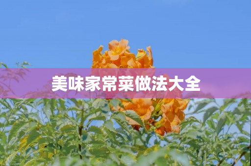 美味家常菜做法大全