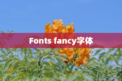 Fonts fancy字体