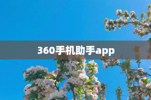 360手机助手app