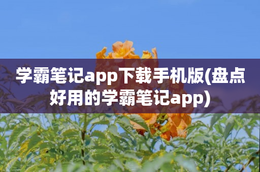 学霸笔记app下载手机版(盘点好用的学霸笔记app)