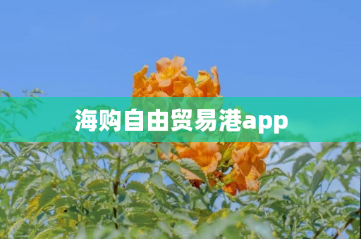 海购自由贸易港app