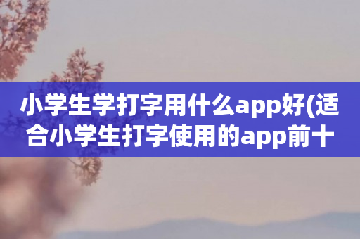 小学生学打字用什么app好(适合小学生打字使用的app前十名)