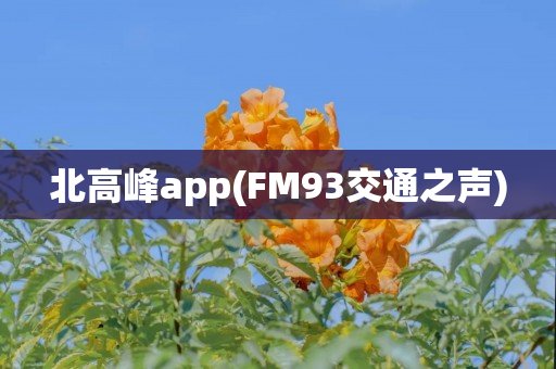 北高峰app(FM93交通之声)