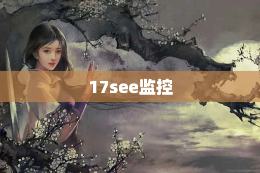 17see监控