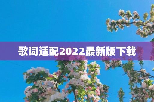 歌词适配2022最新版下载