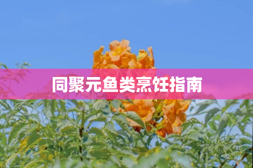 同聚元鱼类烹饪指南