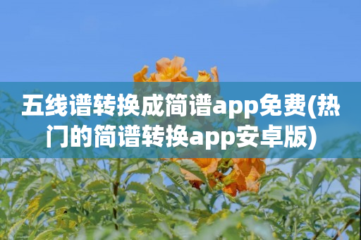 五线谱转换成简谱app免费(热门的简谱转换app安卓版)