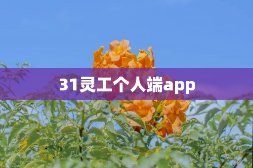 31灵工个人端app