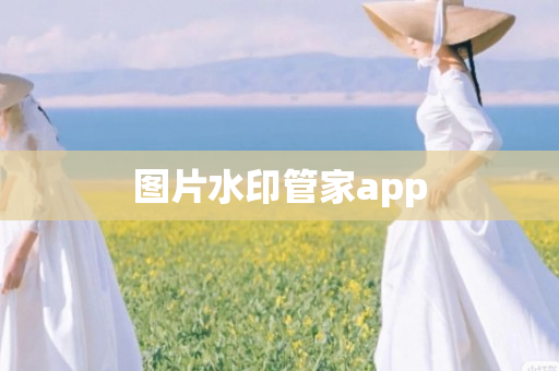 图片水印管家app