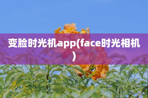 变脸时光机app(face时光相机)