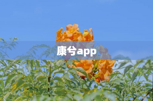 康兮app