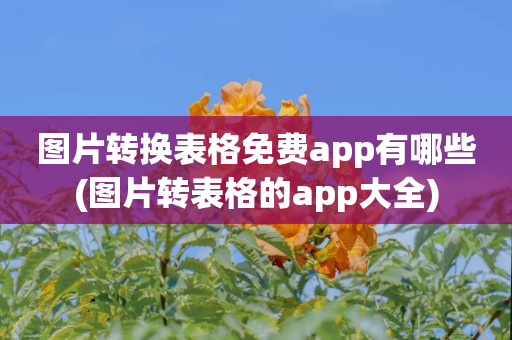 图片转换表格免费app有哪些(图片转表格的app大全)