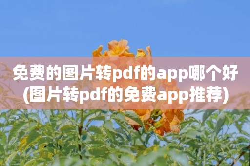 免费的图片转pdf的app哪个好(图片转pdf的免费app推荐)