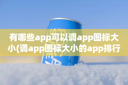 有哪些app可以调app图标大小(调app图标大小的app排行榜)