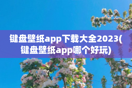 键盘壁纸app下载大全2023(键盘壁纸app哪个好玩)