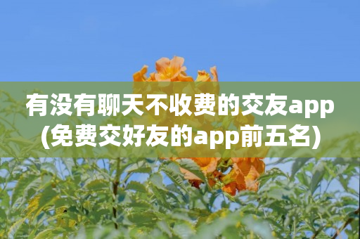 有没有聊天不收费的交友app(免费交好友的app前五名)