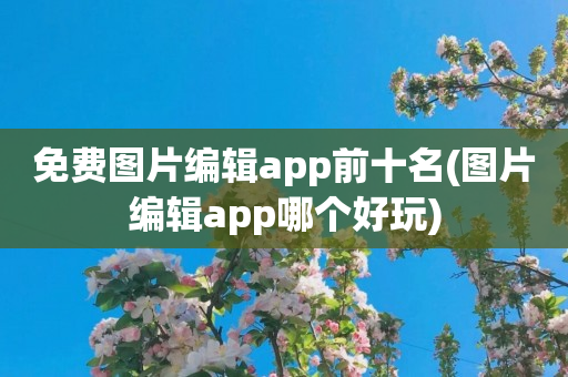 免费图片编辑app前十名(图片编辑app哪个好玩)