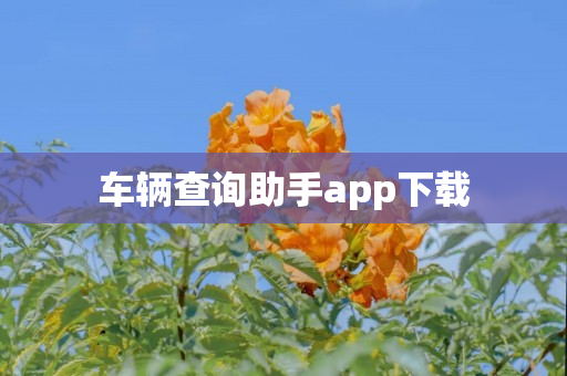 车辆查询助手app下载