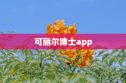 可丽尔博士app