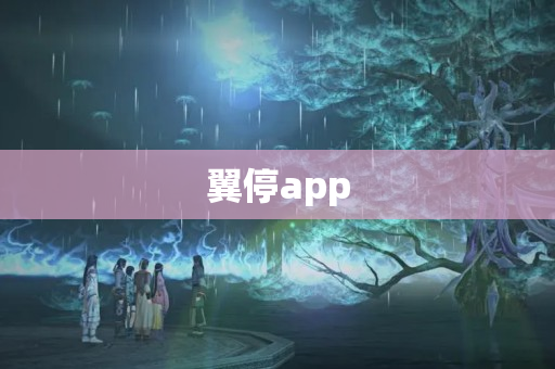 翼停app