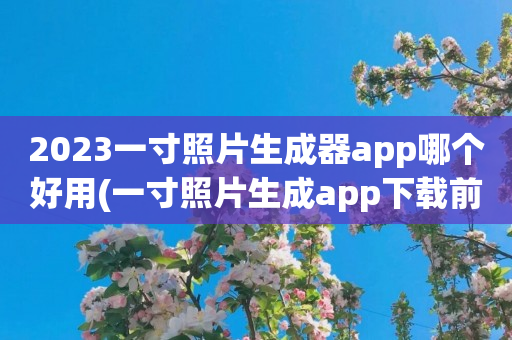 2023一寸照片生成器app哪个好用(一寸照片生成app下载前五名)