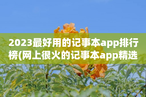 2023最好用的记事本app排行榜(网上很火的记事本app精选)