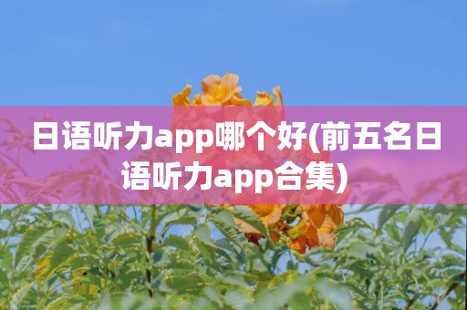 日语听力app哪个好(前五名日语听力app合集)