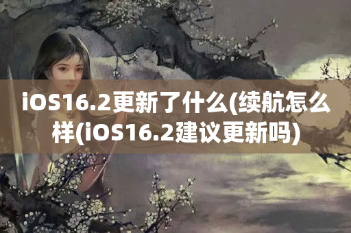 iOS16.2更新了什么(续航怎么样(iOS16.2建议更新吗)