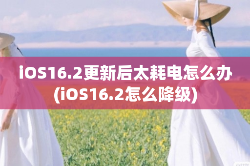 iOS16.2更新后太耗电怎么办(iOS16.2怎么降级)