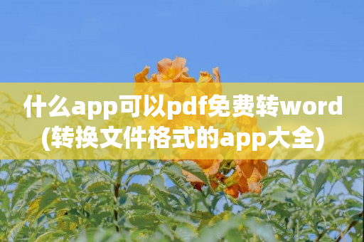 什么app可以pdf免费转word(转换文件格式的app大全)