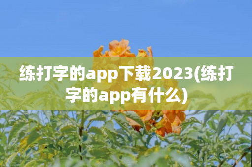 练打字的app下载2023(练打字的app有什么)