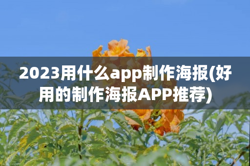 2023用什么app制作海报(好用的制作海报APP推荐)