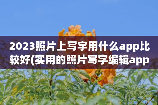 2023照片上写字用什么app比较好(实用的照片写字编辑app推荐)