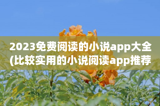 2023免费阅读的小说app大全(比较实用的小说阅读app推荐)