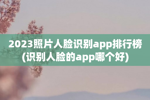 2023照片人脸识别app排行榜(识别人脸的app哪个好)