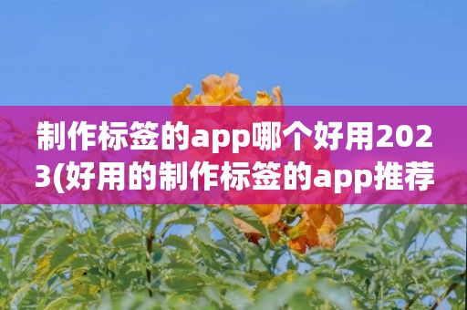 制作标签的app哪个好用2023(好用的制作标签的app推荐)