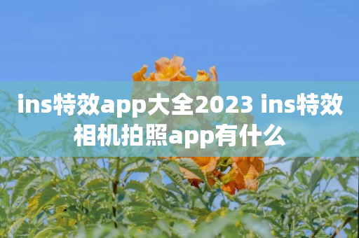 ins特效app大全2023 ins特效相机拍照app有什么