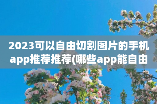 2023可以自由切割图片的手机app推荐推荐(哪些app能自由切割图片)