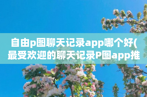 自由p图聊天记录app哪个好(最受欢迎的聊天记录P图app推荐)