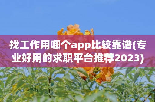 找工作用哪个app比较靠谱(专业好用的求职平台推荐2023)