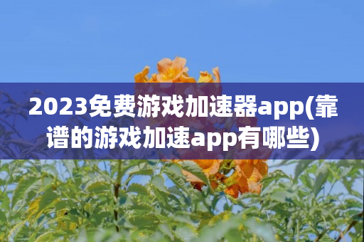 2023免费游戏加速器app(靠谱的游戏加速app有哪些)