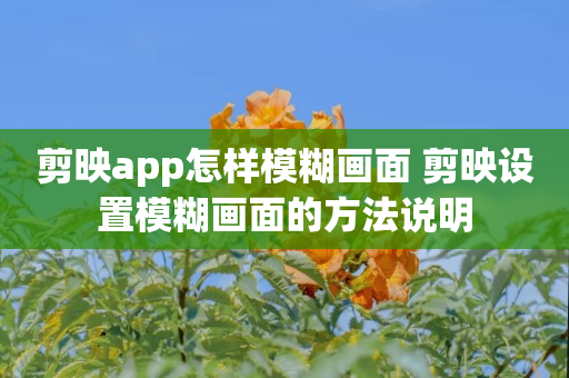 剪映app怎样模糊画面 剪映设置模糊画面的方法说明