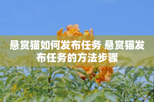 悬赏猫如何发布任务 悬赏猫发布任务的方法步骤