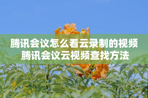 腾讯会议怎么看云录制的视频 腾讯会议云视频查找方法