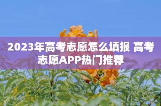 2023年高考志愿怎么填报 高考志愿APP热门推荐