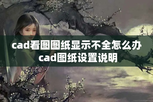 cad看图图纸显示不全怎么办 cad图纸设置说明