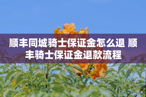 顺丰同城骑士保证金怎么退 顺丰骑士保证金退款流程