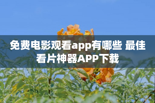 免费电影观看app有哪些 最佳看片神器APP下载