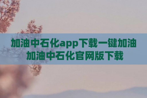 加油中石化app下载一键加油 加油中石化官网版下载